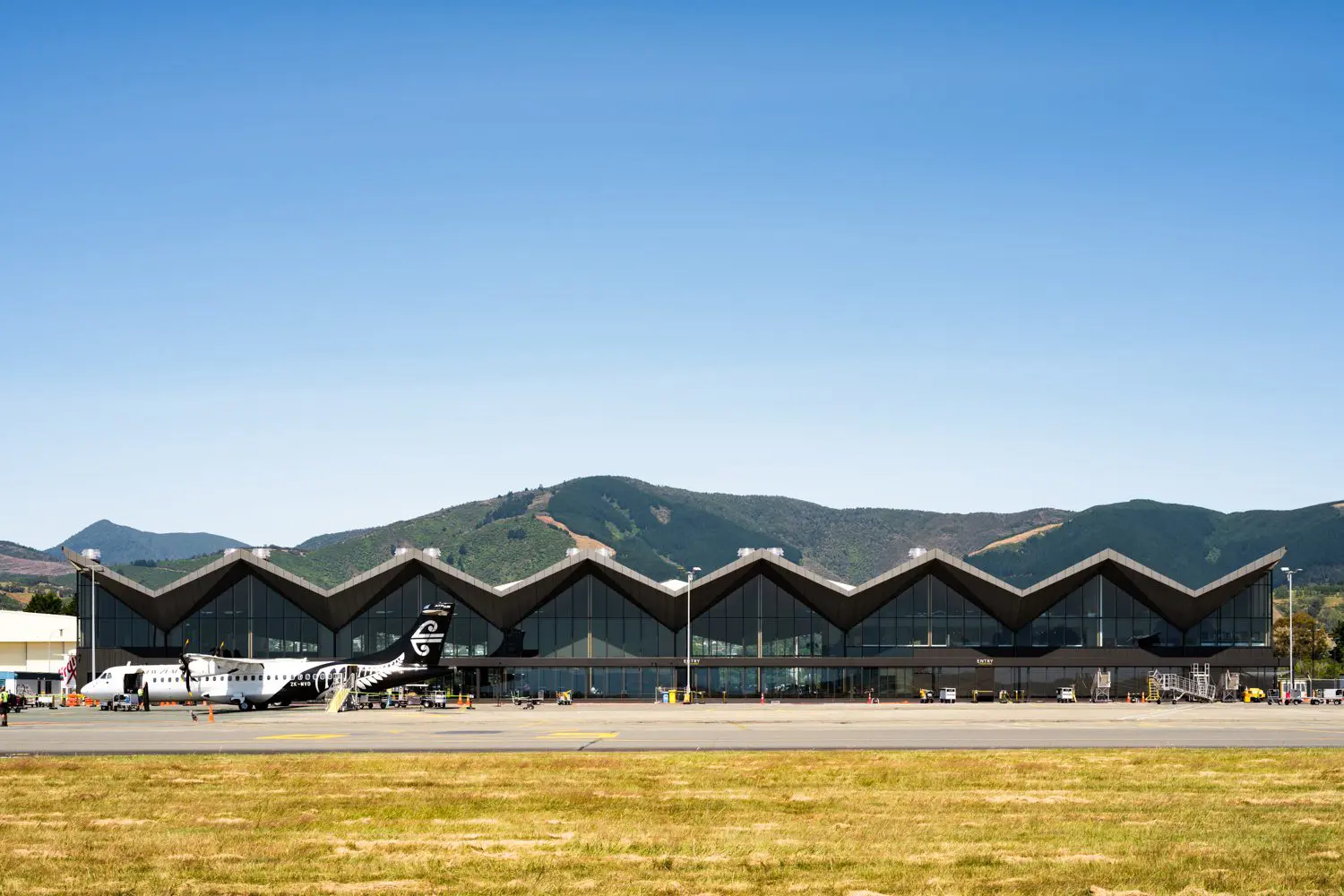 nelson - image 10